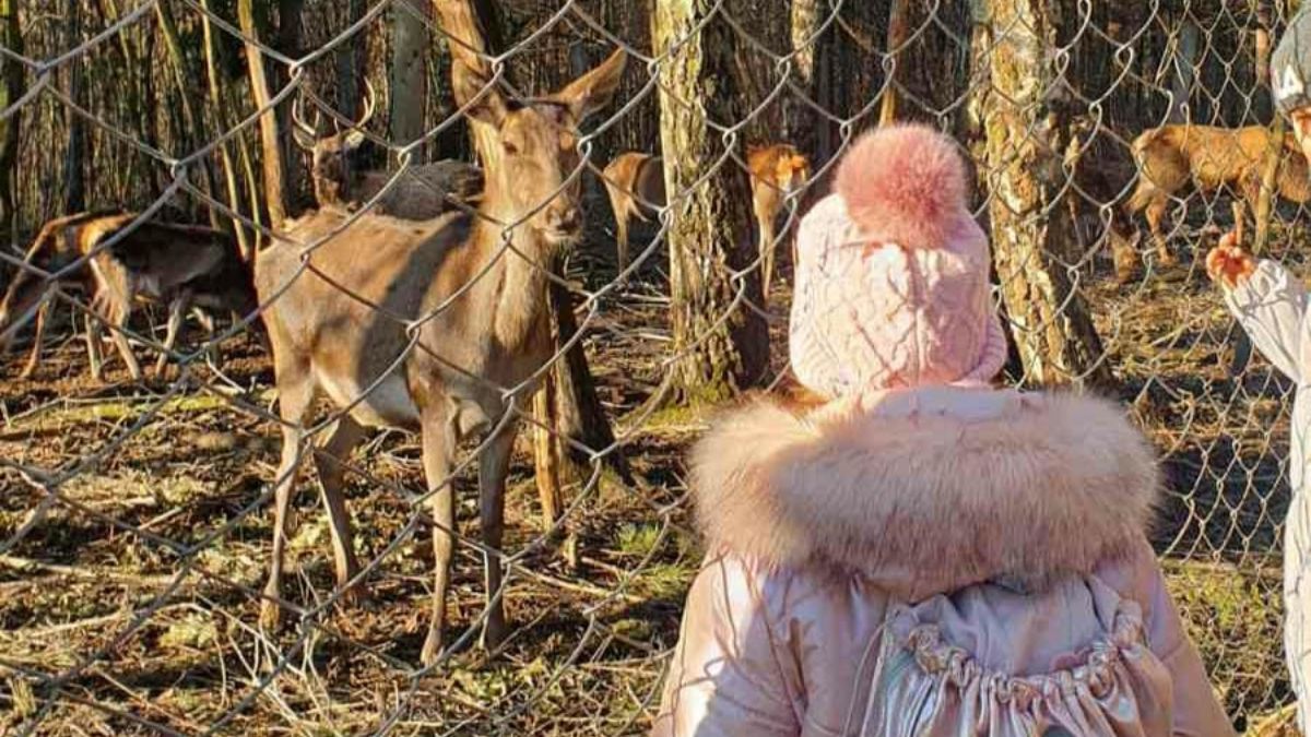 Юні коломияни провели день без турбот та відвідали різні екскурсії 8