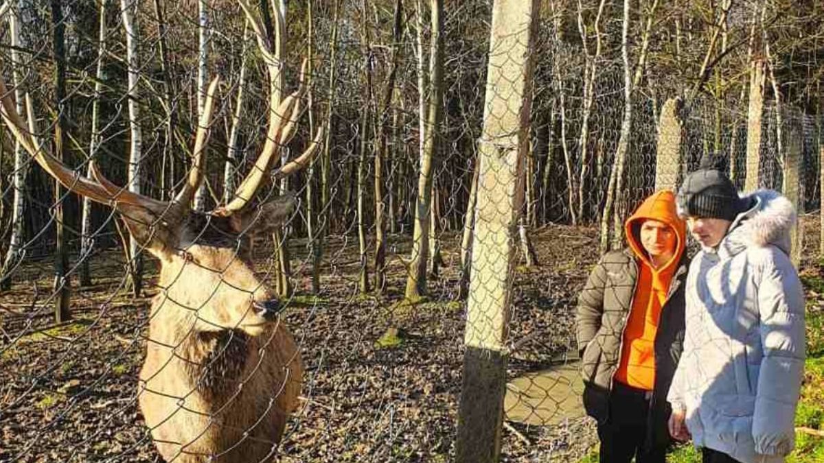 Юні коломияни провели день без турбот та відвідали різні екскурсії 3