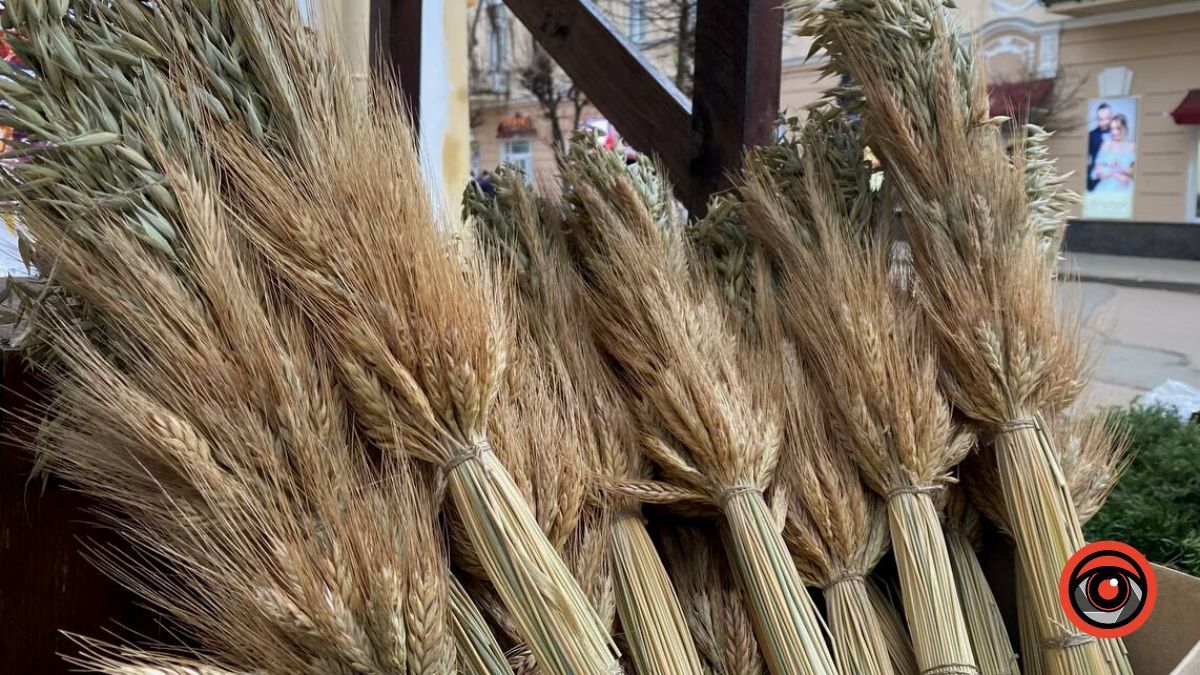 Усе про Різдвяний Дідух та скільки він коштує в Коломиї? 7