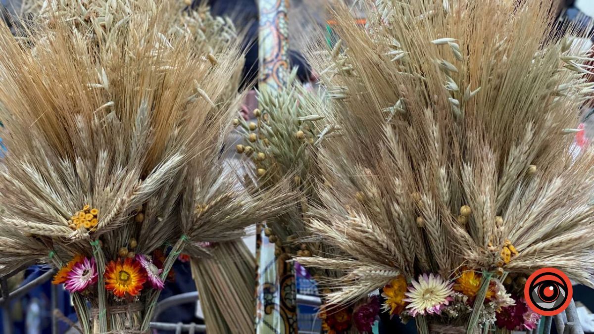 Усе про Різдвяний Дідух та скільки він коштує в Коломиї? 6