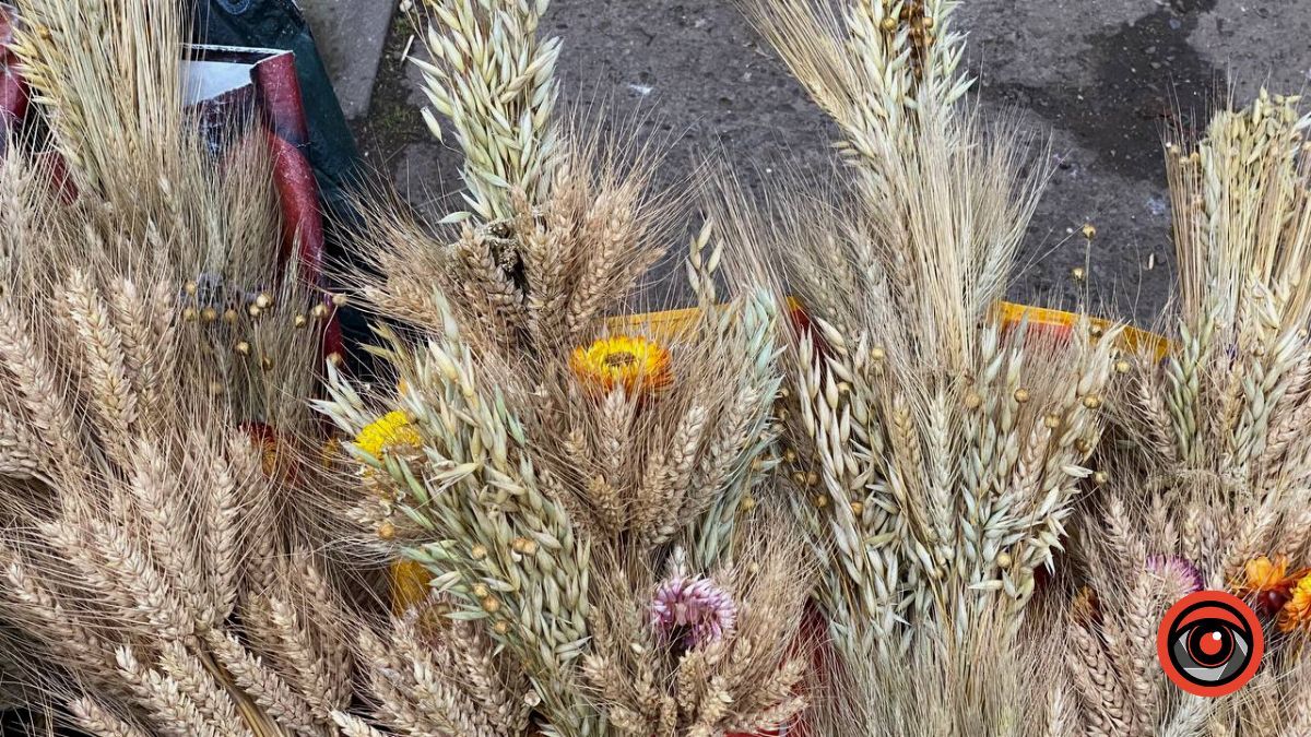 Усе про Різдвяний Дідух та скільки він коштує в Коломиї? 5