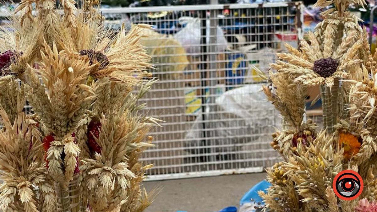 Усе про Різдвяний Дідух та скільки він коштує в Коломиї? 4