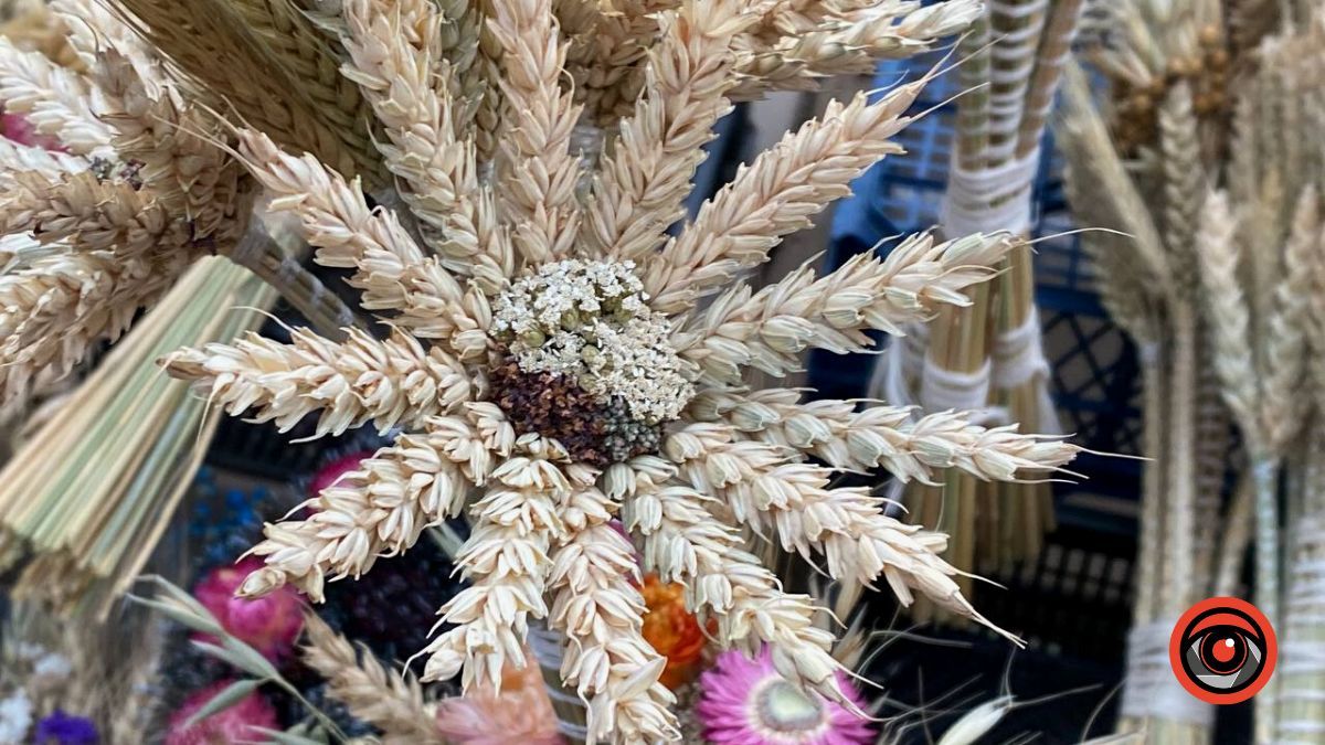 Усе про Різдвяний Дідух та скільки він коштує в Коломиї? 3