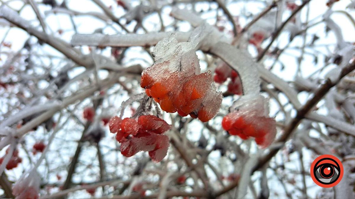 Яка погода буде у Коломиї? | 15 січня