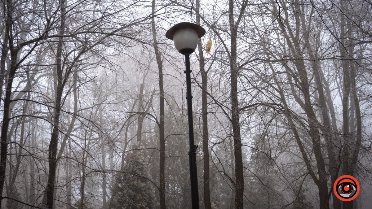 Нуарний бульвар у Коломиї | Фоторепортаж 27