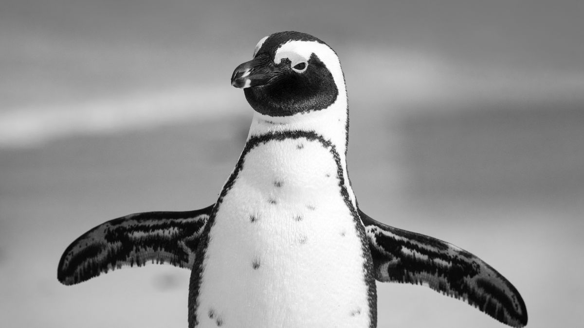 Який сьогодні день? | 20 січня 4