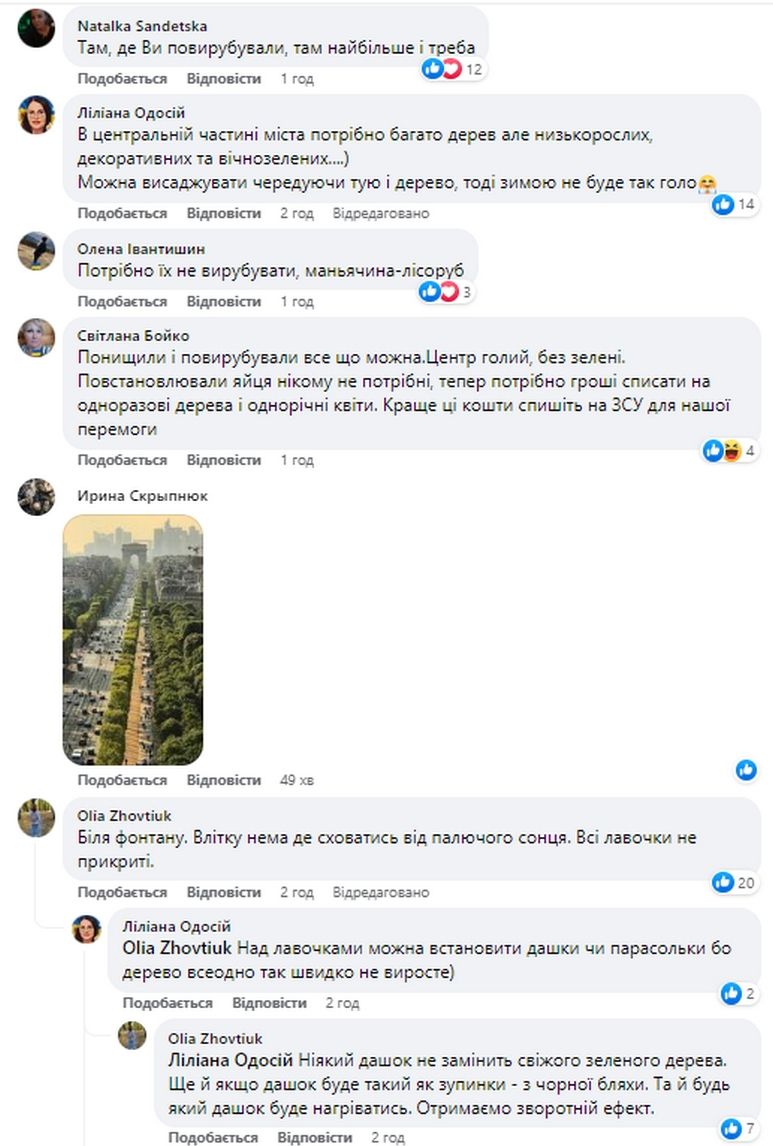 Мер Коломиї запитує, де найбільше треба дерев 1