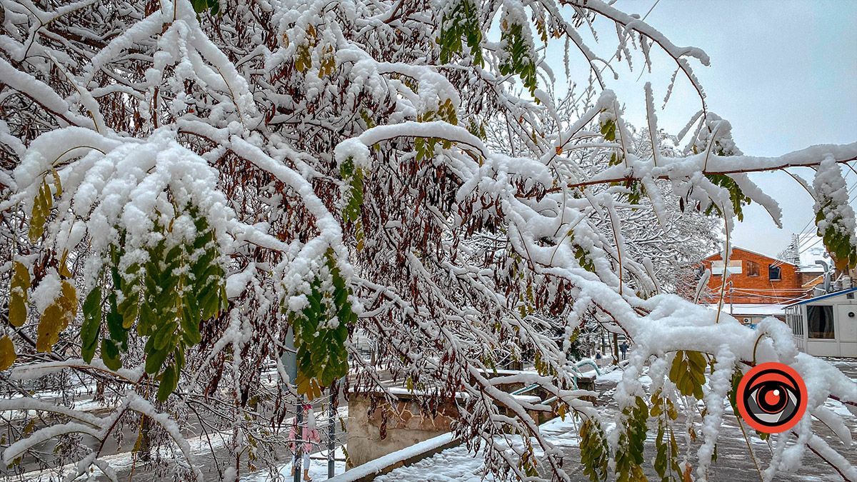 Погода у Коломиї 16 грудня