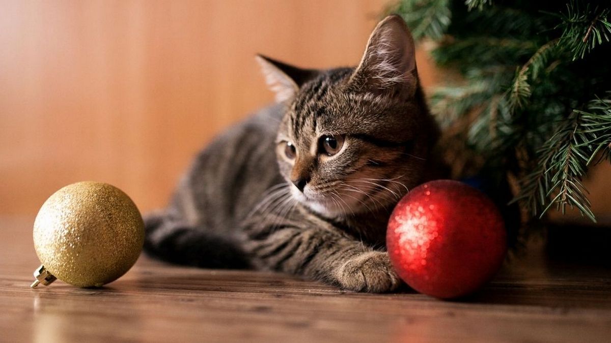 "Слава Богу сьогодні понеділок" та інші свята 2 січня