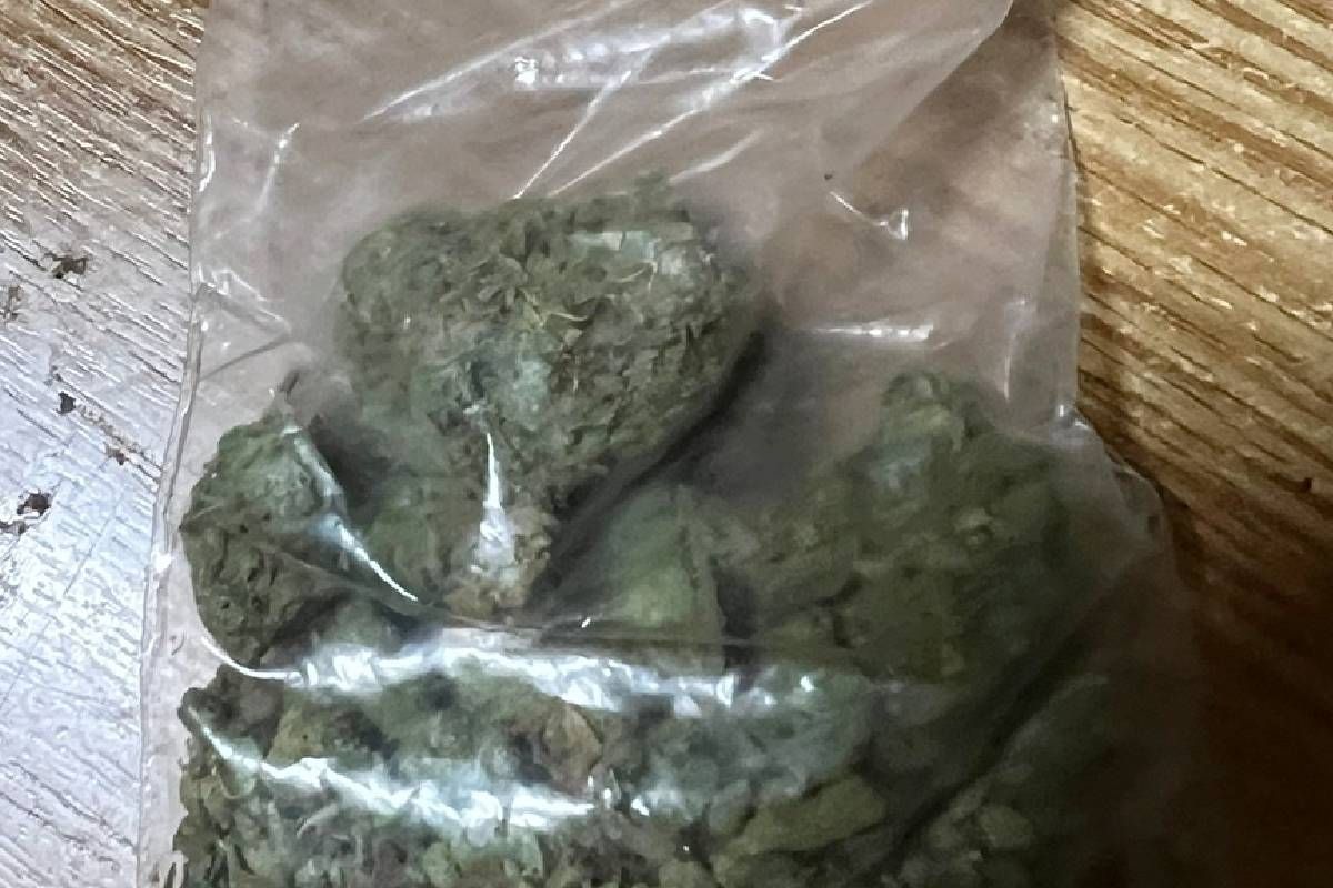 На кордоні собака "винюхала" наркотики у дівчини з Прикарпаття 2