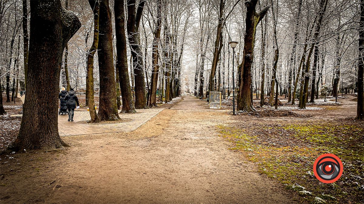 Поприбирали та встановили урни для сміття: що змінилось у парку Трильовського в Коломиї? 2