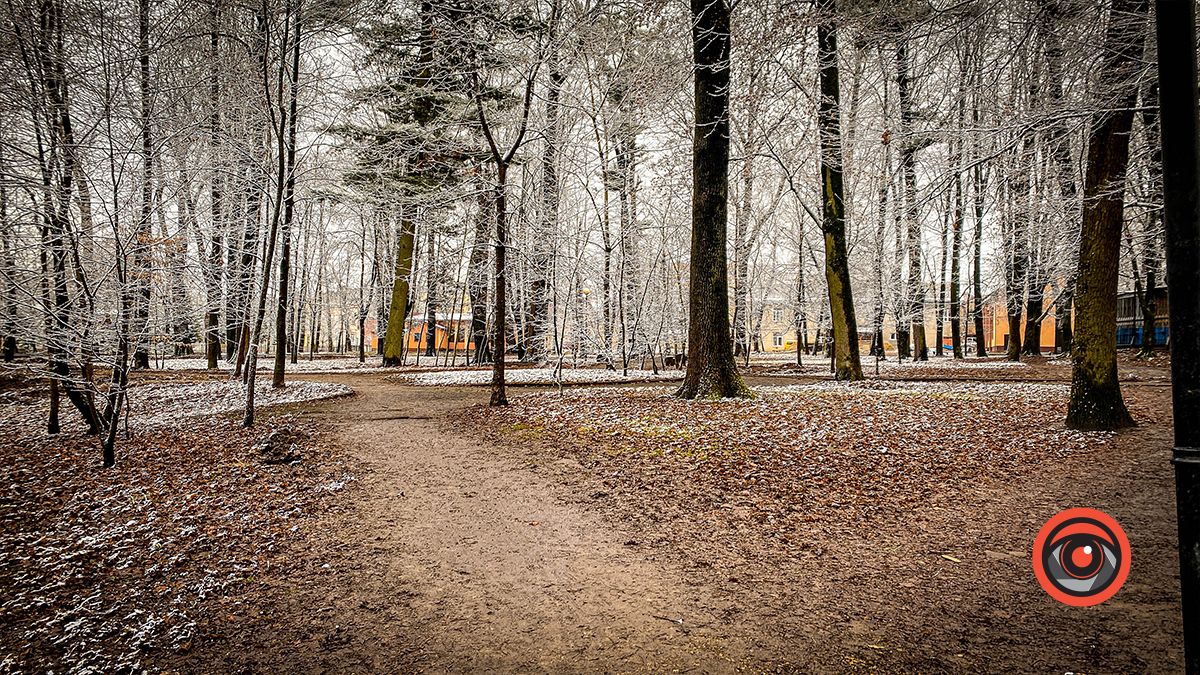 Поприбирали та встановили урни для сміття: що змінилось у парку Трильовського в Коломиї? 9