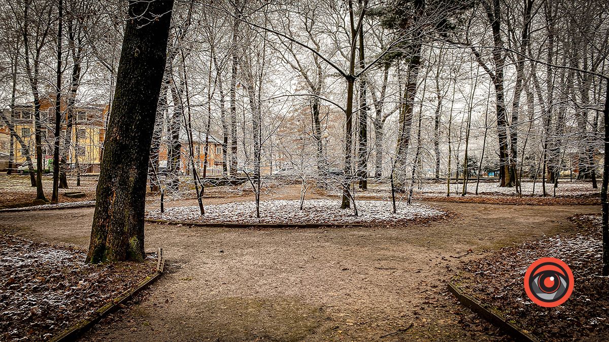 Поприбирали та встановили урни для сміття: що змінилось у парку Трильовського в Коломиї? 10