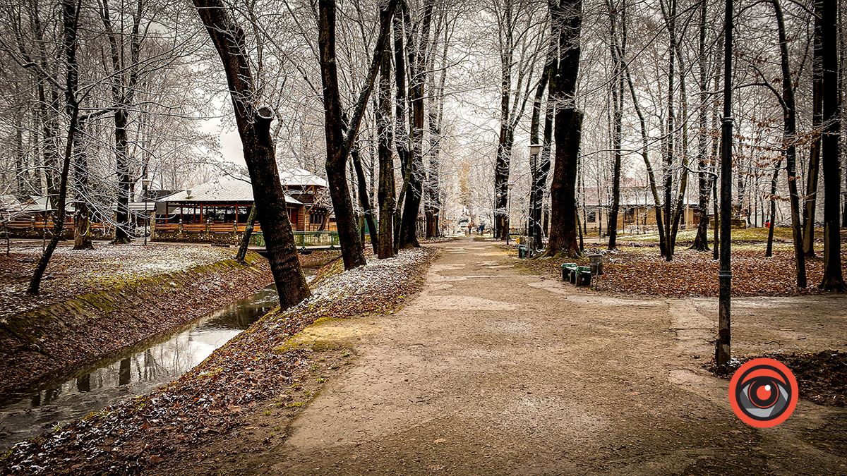 Поприбирали та встановили урни для сміття: що змінилось у парку Трильовського в Коломиї? 11