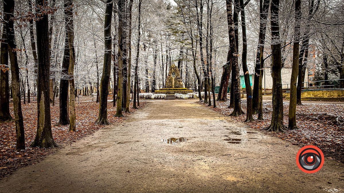 Поприбирали та встановили урни для сміття: що змінилось у парку Трильовського в Коломиї? 12