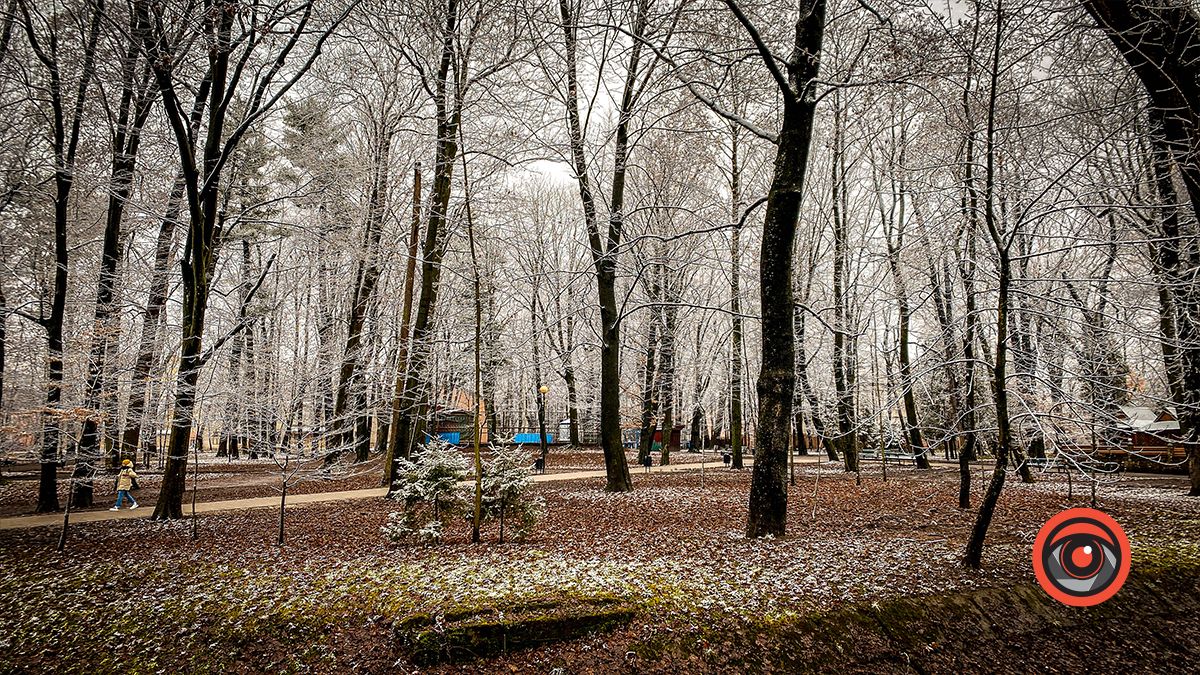 Поприбирали та встановили урни для сміття: що змінилось у парку Трильовського в Коломиї? 13