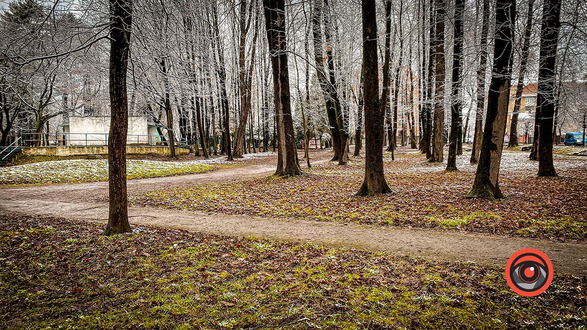 Поприбирали та встановили урни для сміття: що змінилось у парку Трильовського в Коломиї? 3