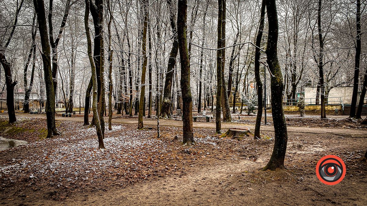 Поприбирали та встановили урни для сміття: що змінилось у парку Трильовського в Коломиї? 5