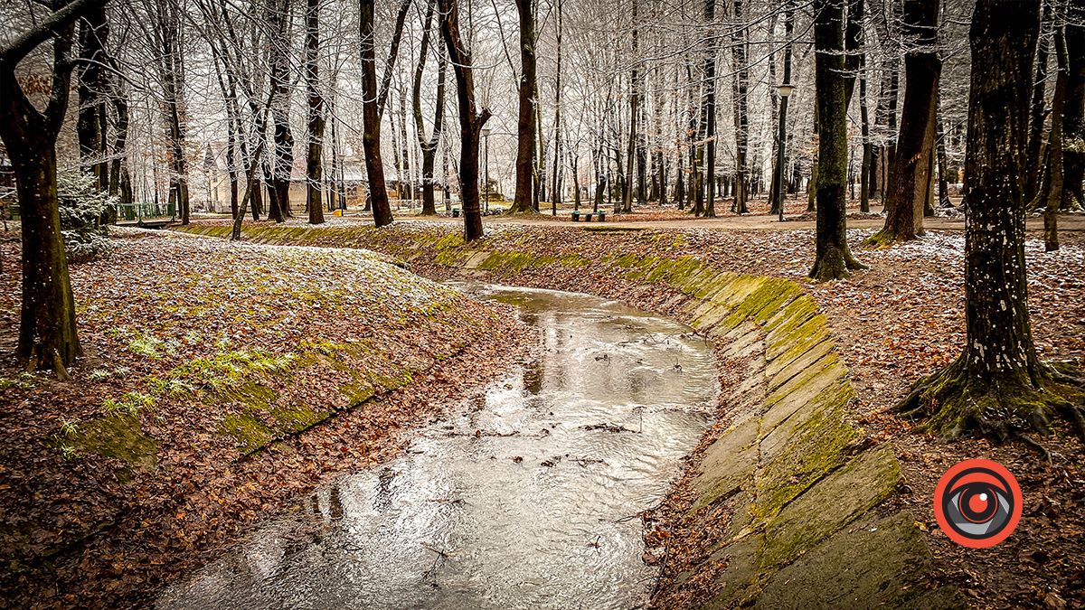Поприбирали та встановили урни для сміття: що змінилось у парку Трильовського в Коломиї? 6
