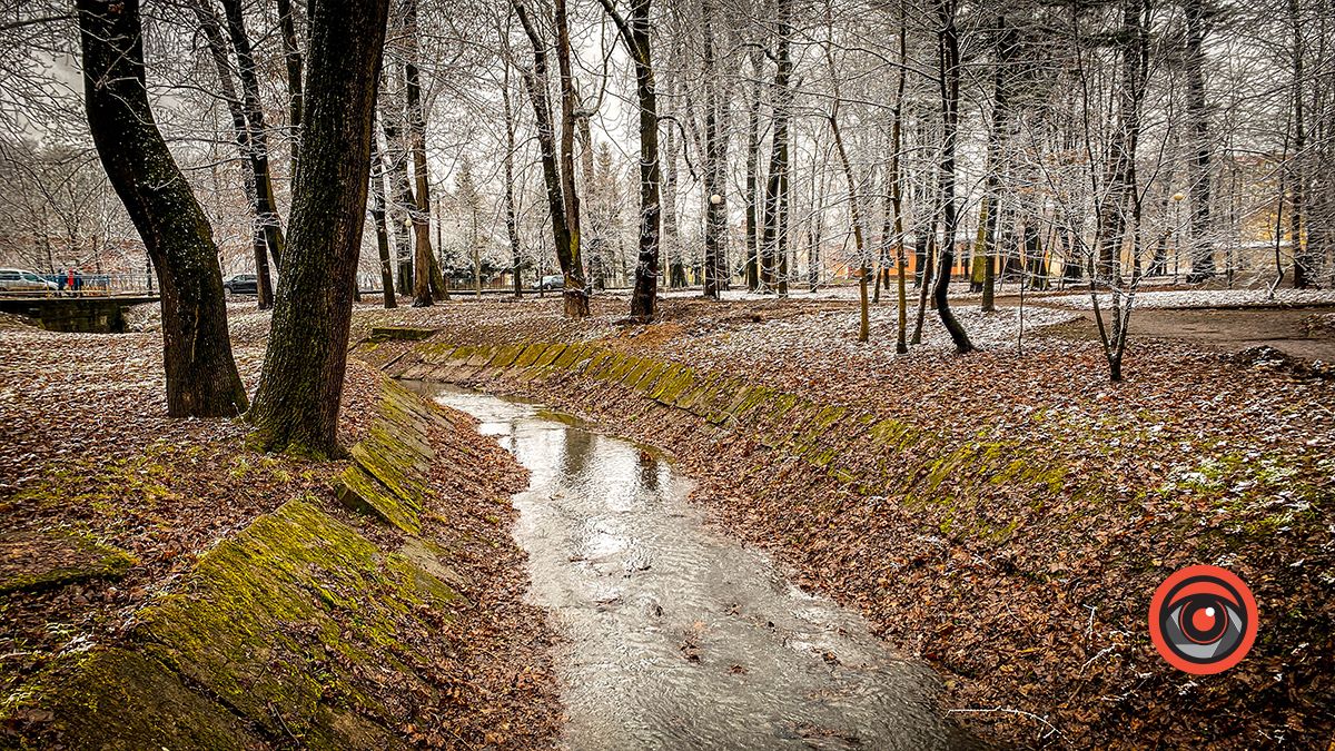 Поприбирали та встановили урни для сміття: що змінилось у парку Трильовського в Коломиї? 7
