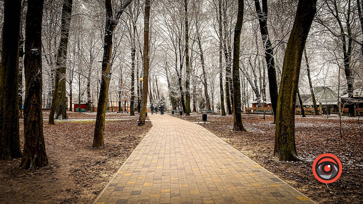 Поприбирали та встановили урни для сміття: що змінилось у парку Трильовського в Коломиї? 8