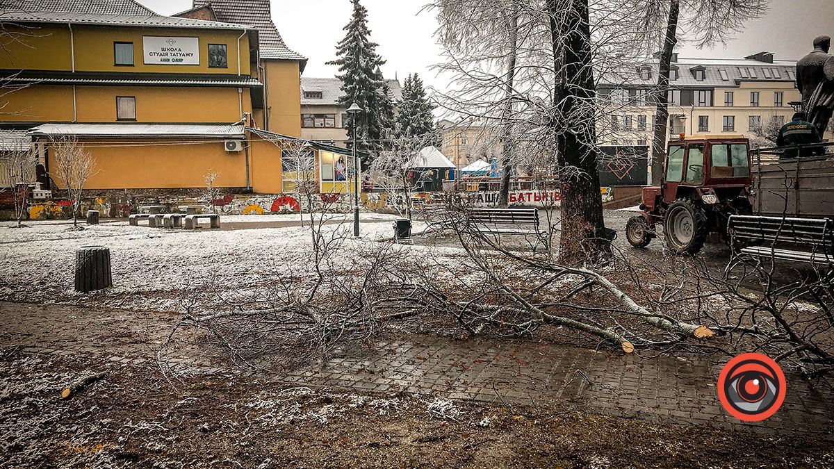 У Коломиї в сквері комунальники чистять дерева 3