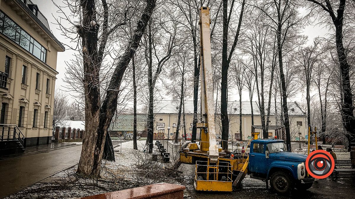 У Коломиї в сквері комунальники чистять дерева 1