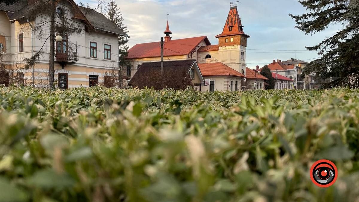 12 січня: цікаві заходи у Коломиї