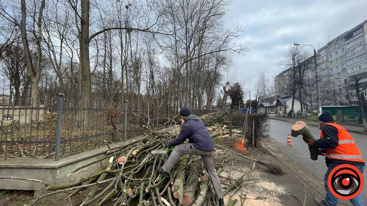У Коломиї сильний вітер повалив дерево на дорогу і зламав огорожу 3