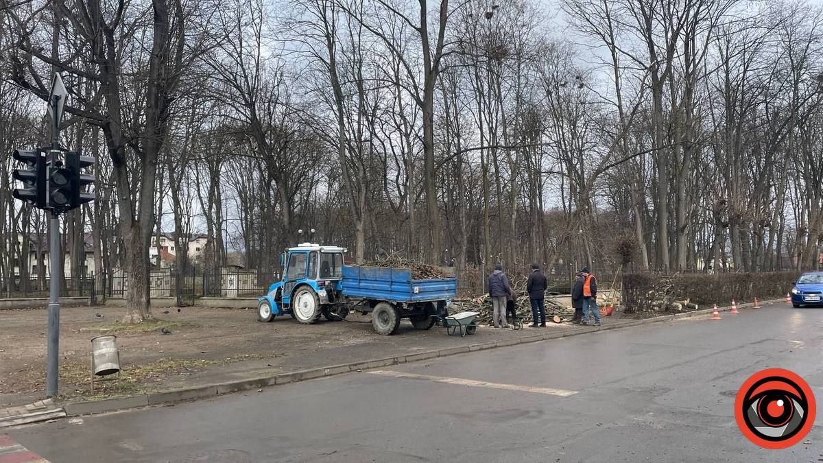 У Коломиї сильний вітер повалив дерево на дорогу і зламав огорожу 7