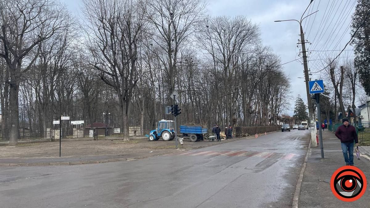У Коломиї сильний вітер повалив дерево на дорогу і зламав огорожу 1