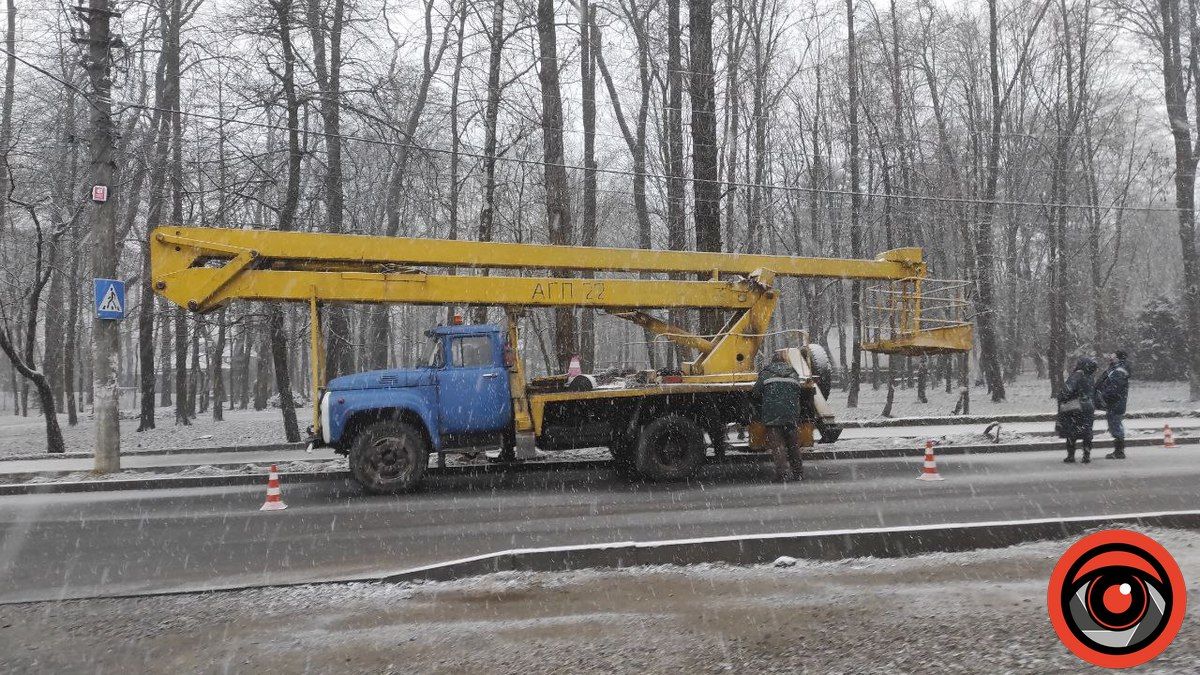 У парку Коломиї понижають крони дерев, попереду - велика чистка 1