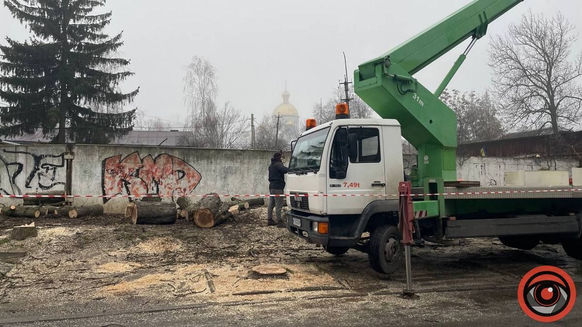 У середмісті Коломиї зрізали 5 дерев, міська рада зупинила роботи 1