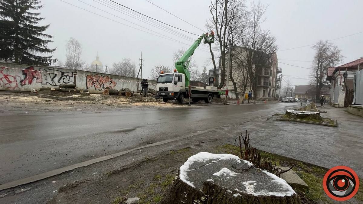 У середмісті Коломиї зрізали 5 дерев, міська рада зупинила роботи 3