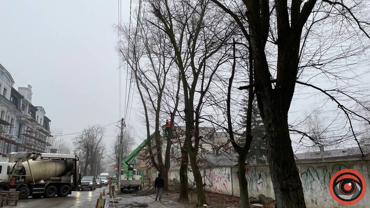 У середмісті Коломиї зрізали 5 дерев, міська рада зупинила роботи 5