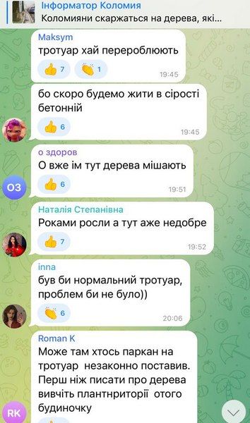 Що робити із деревами на тротуарі по вул. Петлюри? Думка коломиян 4