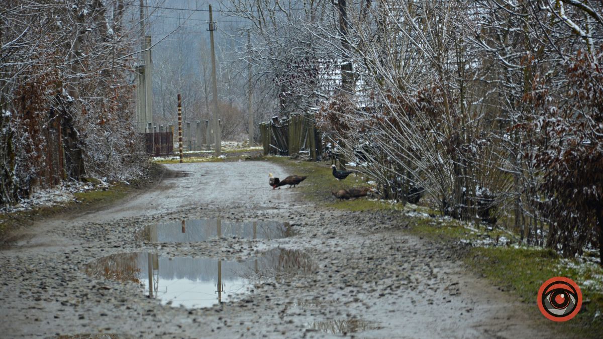 Це все винні гуси: вулиця Січинського у Коломиї потребує ремонту 7