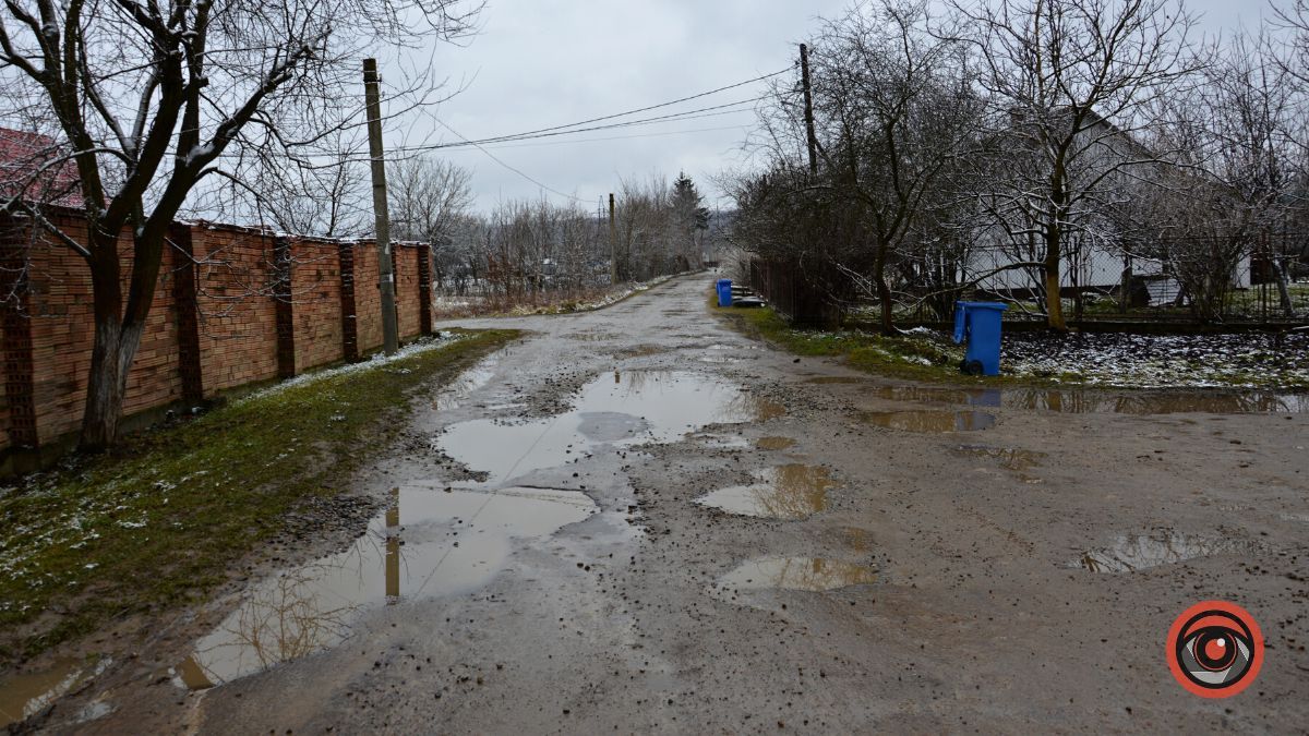 Це все винні гуси: вулиця Січинського у Коломиї потребує ремонту 1