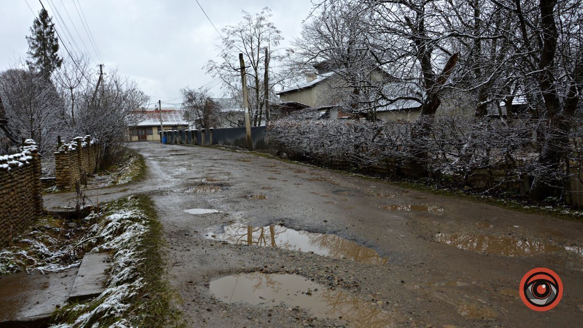 Це все винні гуси: вулиця Січинського у Коломиї потребує ремонту 2