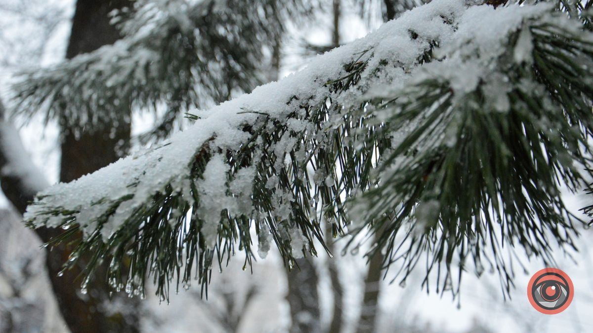 Один зимовий день у Коломиї | Фоторепортаж 3