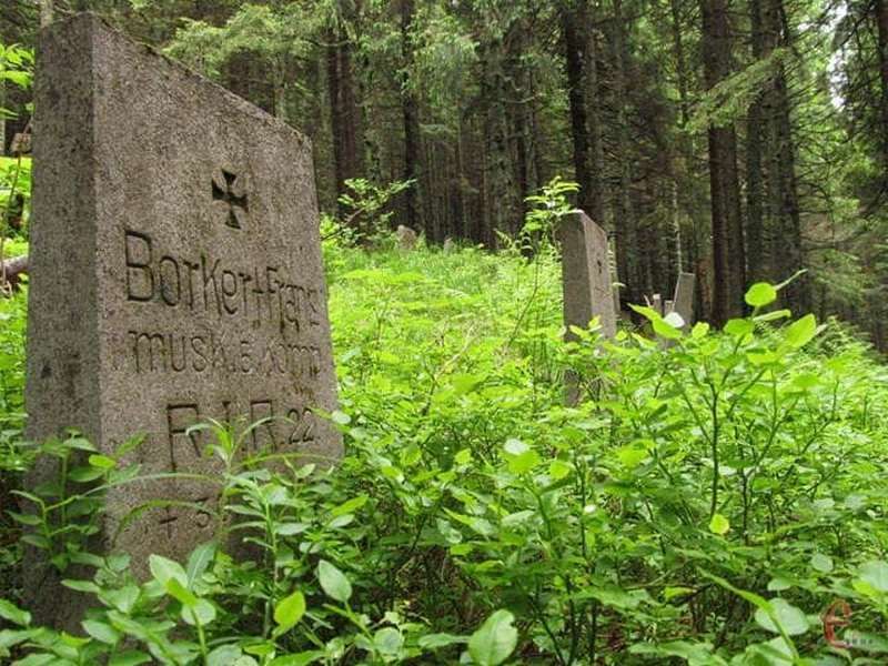 Містичне кладовище неподалік Говерли 1