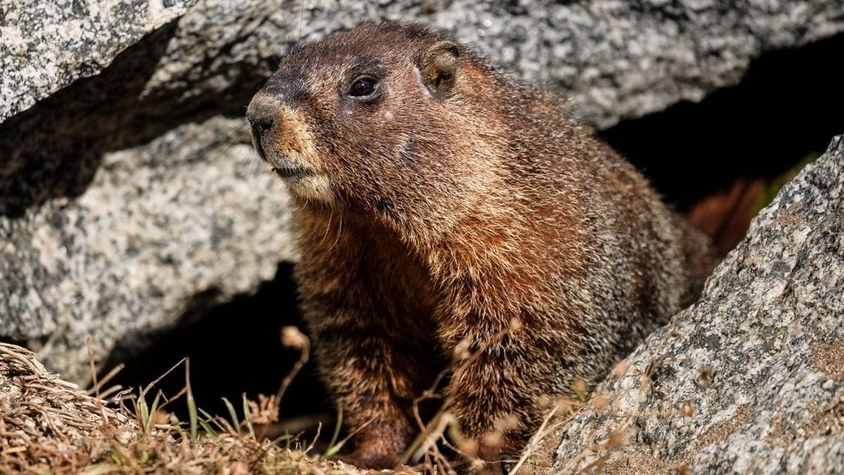 2 лютого: важливі та неординарні свята цього дня