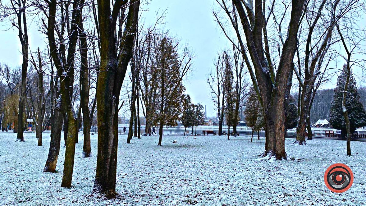 Сильний сніг: погода у Коломиї на 4 лютого