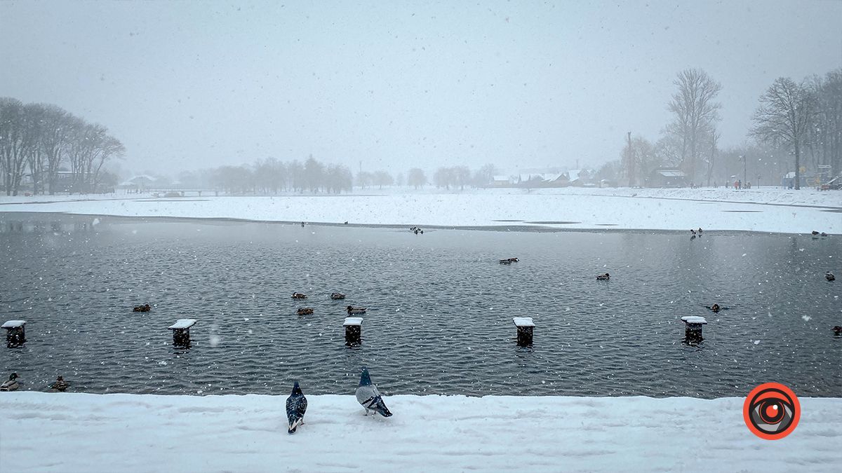 Краса засніженого озера у Коломиї | Фоторепортаж 4