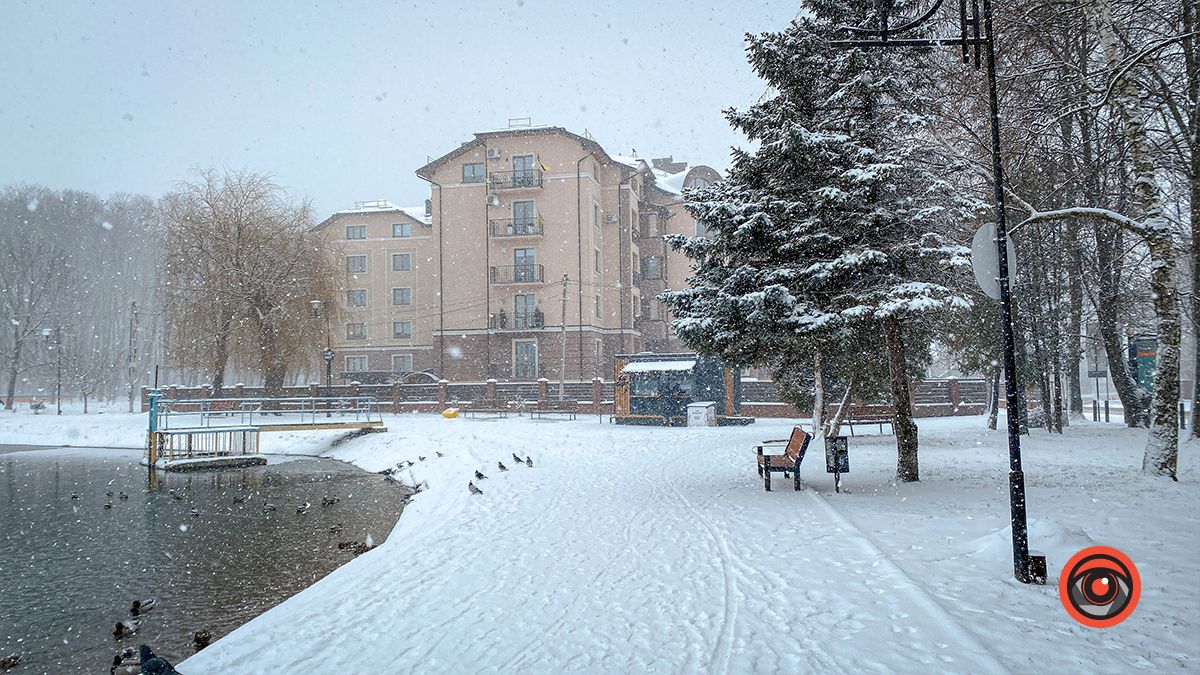 Краса засніженого озера у Коломиї | Фоторепортаж 5