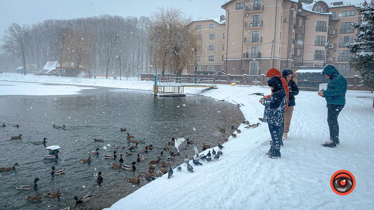 Краса засніженого озера у Коломиї | Фоторепортаж 10