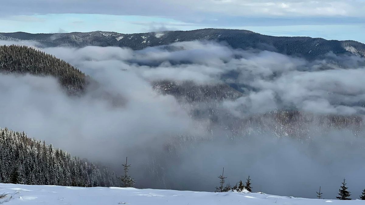 Фото - Oresta Desheva