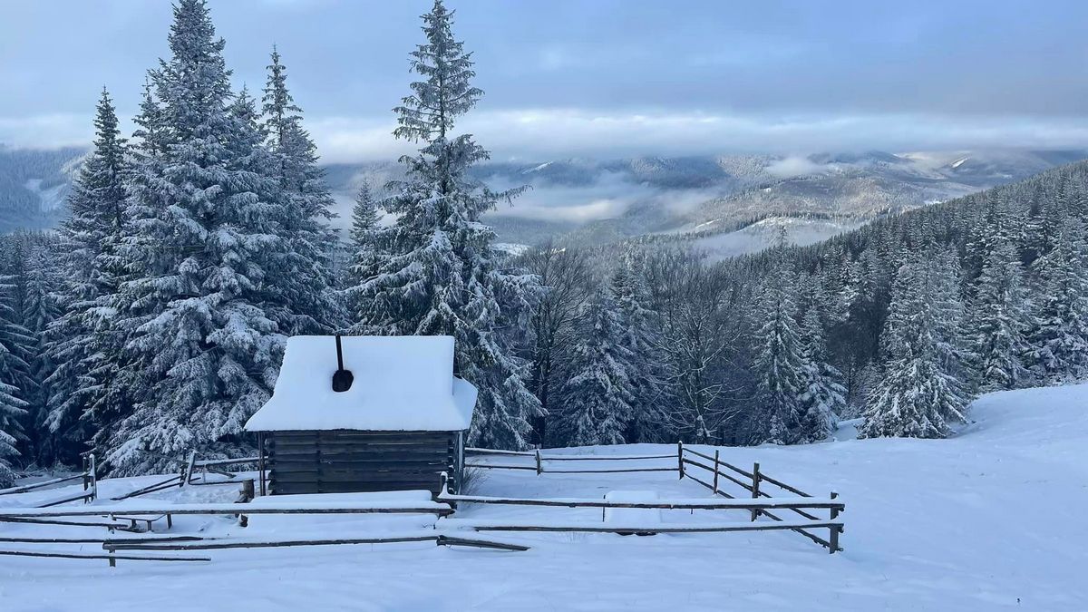 Фото - Oresta Desheva