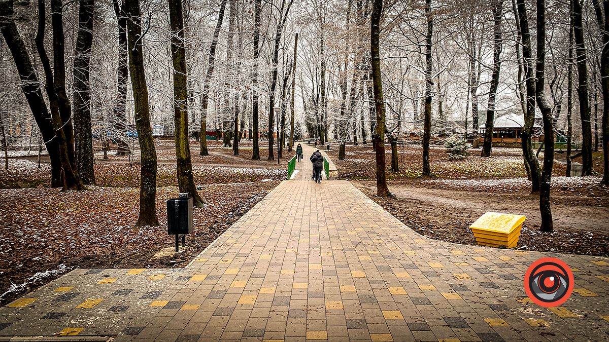 Скільки коштували доріжки в парку Трильовського в Коломиї 1