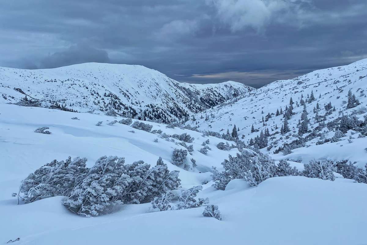 Фото Павла Спінжи